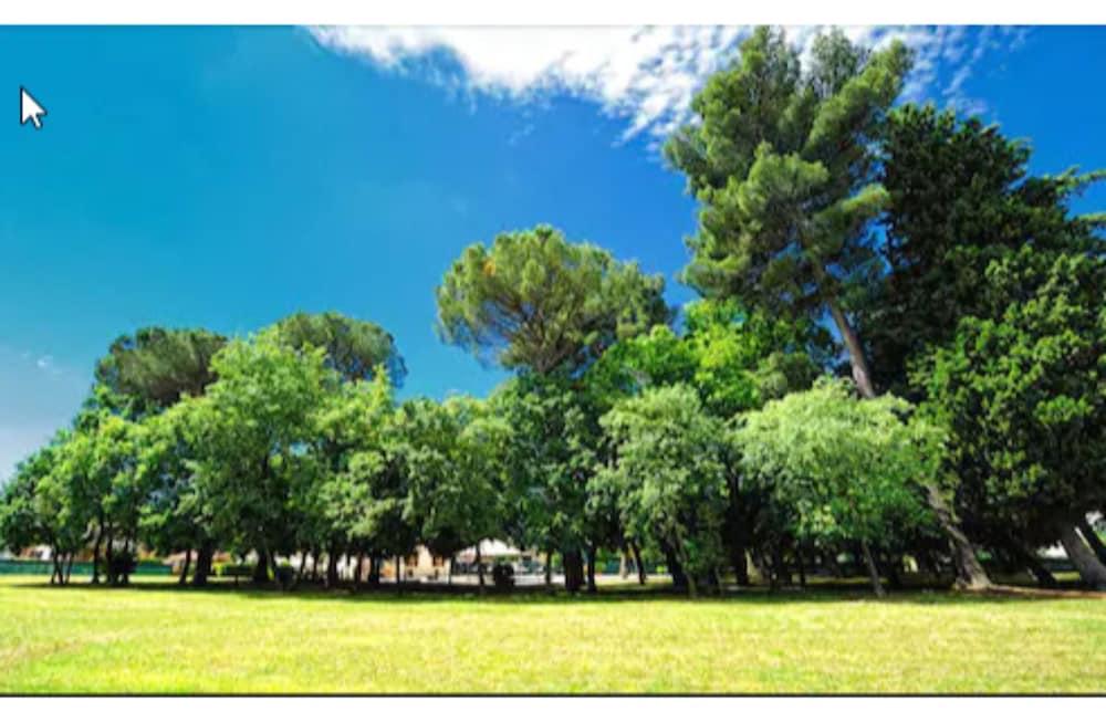 Villa Raffaello Park Hotel Assisi Exterior photo